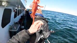 Весенний Eastman's с отцом и братьями: рыбалка в США