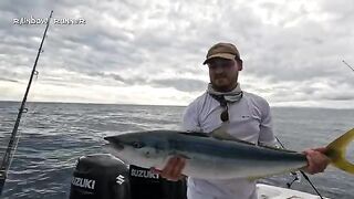 Рыбалка в Панаме у Коибы: три дня и тунец на 100 фунтов