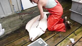 13 часов на West Cape - рыбалка на Аляске с палтусом и лососем