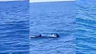 Белые скалы, Цандрипш - морская рыбалка в Абхазии с Дато