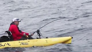 Los Buzos, каяк и black marlin на 600 lb - рыбалка в Панаме