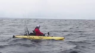 Los Buzos, каяк и black marlin на 600 lb - рыбалка в Панаме