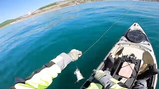 Камбала на Marukyu между бухтами - рыбалка во Владивостоке с каяка