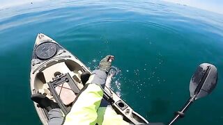 Камбала на Marukyu между бухтами - рыбалка во Владивостоке с каяка