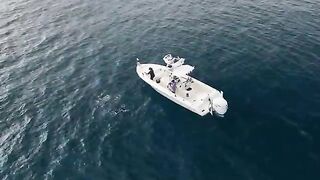 200 миль офшора у Ки-Уэста - рыбалка во Флориде с кобией