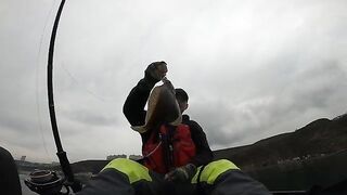 Рыбалка во Владивостоке с каяка: камбала почти на каждом забросе