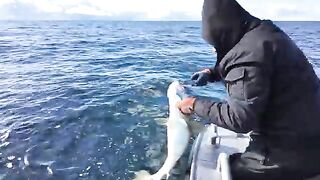 Два дня шторма и 86 метров под лодкой - рыбалка в Норвегии в Sørvær