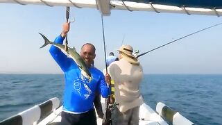 Рыбалка в Абу-Даби с катера - kingfish и queenfish на лёгкие минноу