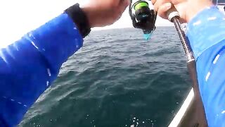 Рыбалка в Абу-Даби с катера - kingfish и queenfish на лёгкие минноу