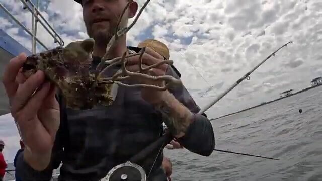 65 долларов и 100 футов под лодкой - рыбалка в Флориде на headboat