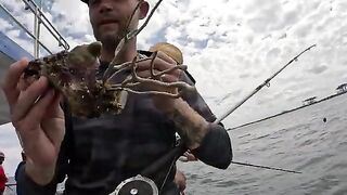 65 долларов и 100 футов под лодкой - рыбалка в Флориде на headboat