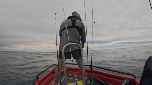 Kingfish у Christchurch на топвотер и джиг - рыбалка в Новой Зеландии