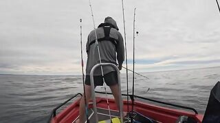 Kingfish у Christchurch на топвотер и джиг - рыбалка в Новой Зеландии