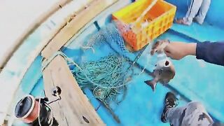 Nonstop поклевки на джиг с лодки - рыбалка в Гоа по тревалли и груперу