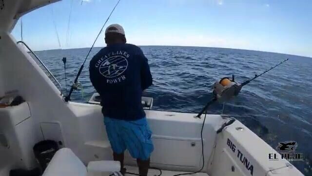 Новые виды на микроджиг у Isla Saona - рыбалка в Доминикане с лодки