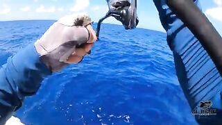 Новые виды на микроджиг у Isla Saona - рыбалка в Доминикане с лодки