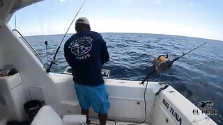 Новые виды на микроджиг у Isla Saona - рыбалка в Доминикане с лодки