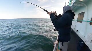 Рыбалка в Нью-Йорке на Viking Starship: Block Island, seabass и tautog