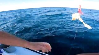 Wise Kraken Charters: рыбалка в США на open boat по cod, tautog и sea bass