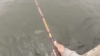 Лингкод и rockcod с charter boat у Monterey - рыбалка в Калифорнии