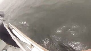 Лингкод и rockcod с charter boat у Monterey - рыбалка в Калифорнии