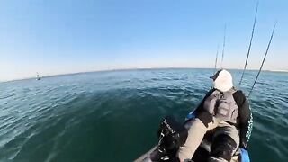 Вихри в манграх и быстрый ремонт mirage drive - рыбалка в Абу-Даби с каяка