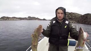 Катер 21 фут у Sotra: морская рыбалка в Норвегии по треске
