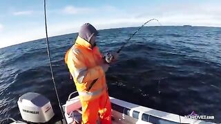 Катер 21 фут у Sotra: морская рыбалка в Норвегии по треске