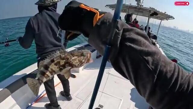Kingfish и hamour: рыбалка в Абу-Даби с катера на глубокой воде