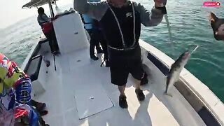 Kingfish и hamour: рыбалка в Абу-Даби с катера на глубокой воде