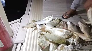 Три недели паузы - рыбалка в Абу-Даби с катера #142