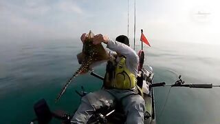 Bass почти на 3 lb и рыбалка в Англии с каяка у Bexhill