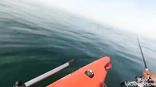 Катамаран Ондатра - рыбалка в Средиземном море в Израиле на воблер