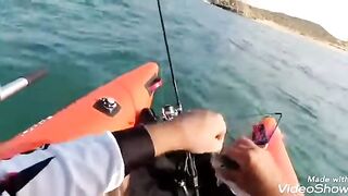 Катамаран Ондатра - рыбалка в Средиземном море в Израиле на воблер