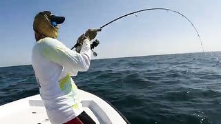 Kingfish без резких качков - рыбалка в Абу-Даби с катера