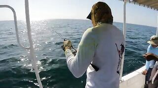 Kingfish без резких качков - рыбалка в Абу-Даби с катера
