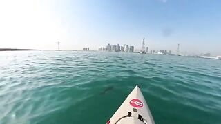 Пять утра на каяке: рыбалка в Абу-Даби за golden trevally