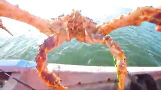 Камбала 3 мая: рыбалка на Сахалине с лодки