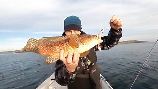 Скумбрия, кальмар и cart bait: рыбалка в Англии с лодки зимой