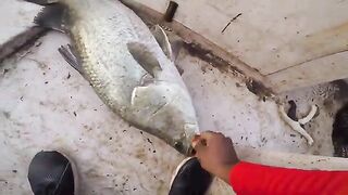 Баррамунди с лодки: рыбалка в Гоа, групер и Lucky John