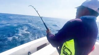 Амберджек давит катушку у Marina El CID, рыбалка в Мексике