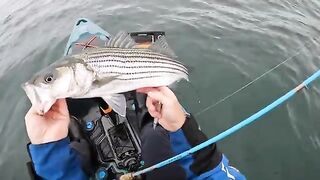 Fall run у Род-Айленда: рыбалка в США по striped bass и bluefish
