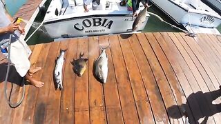 Катер на 4 часа у Канкуна: рыбалка в Мексике по амберджеку