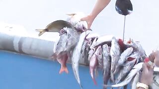 Super Voyager у Каролины - рыбалка в США с большого судна