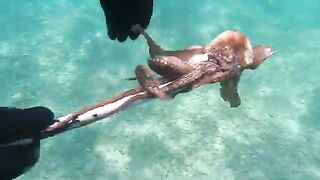 Яхта, удочки и дорадо: рыбалка в Эгейском море с борта