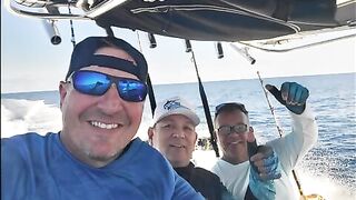 Ла-Пас за 3 часа: рыбалка в Мексике по blue marlin