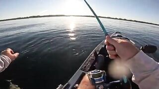 Бонито вместо albies - рыбалка в США с океанского каяка