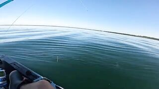 Бонито вместо albies - рыбалка в США с океанского каяка