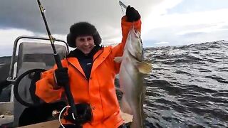 Пилкер 400 г и треска - рыбалка на Баренцевом море
