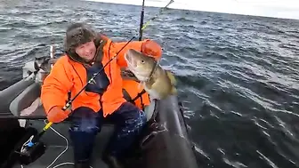 Тяжёлый пилькер и крупная треска на Баренцевом море